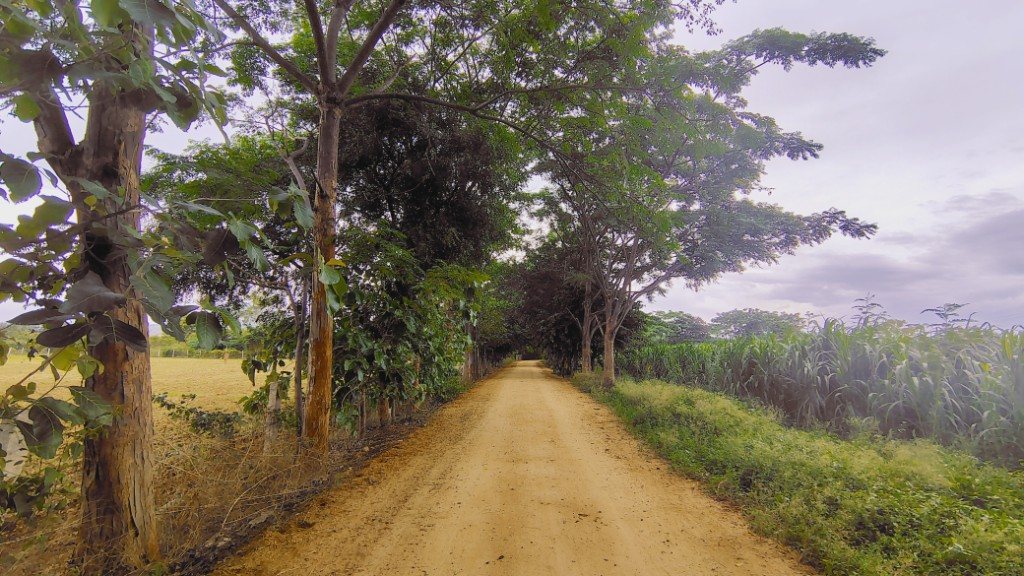 IMG_20250725_162538614_HDR