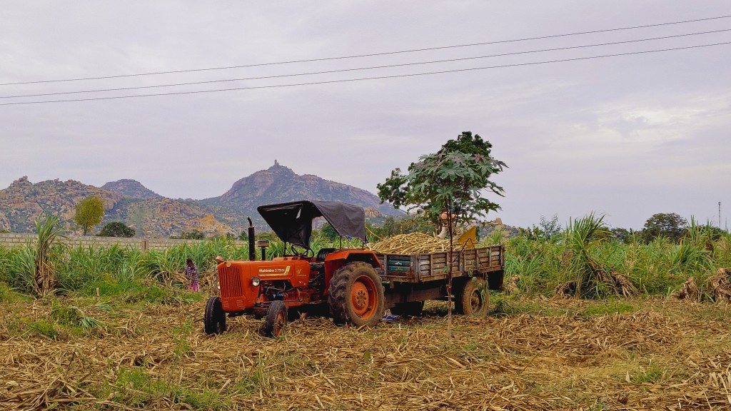 IMG_20250725_163520808_HDR