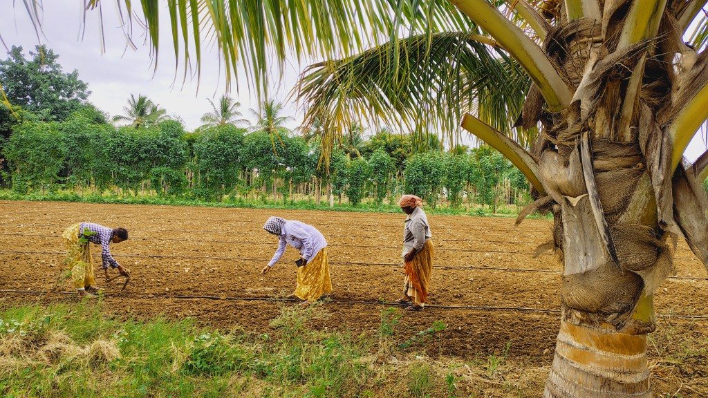 IMG_20250725_164644406_HDR