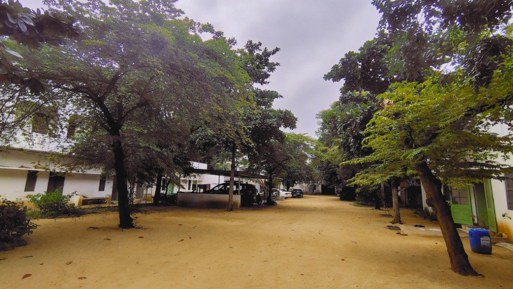 IMG_20250725_165029831_HDR