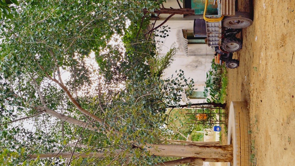 IMG_20250725_165635035_HDR