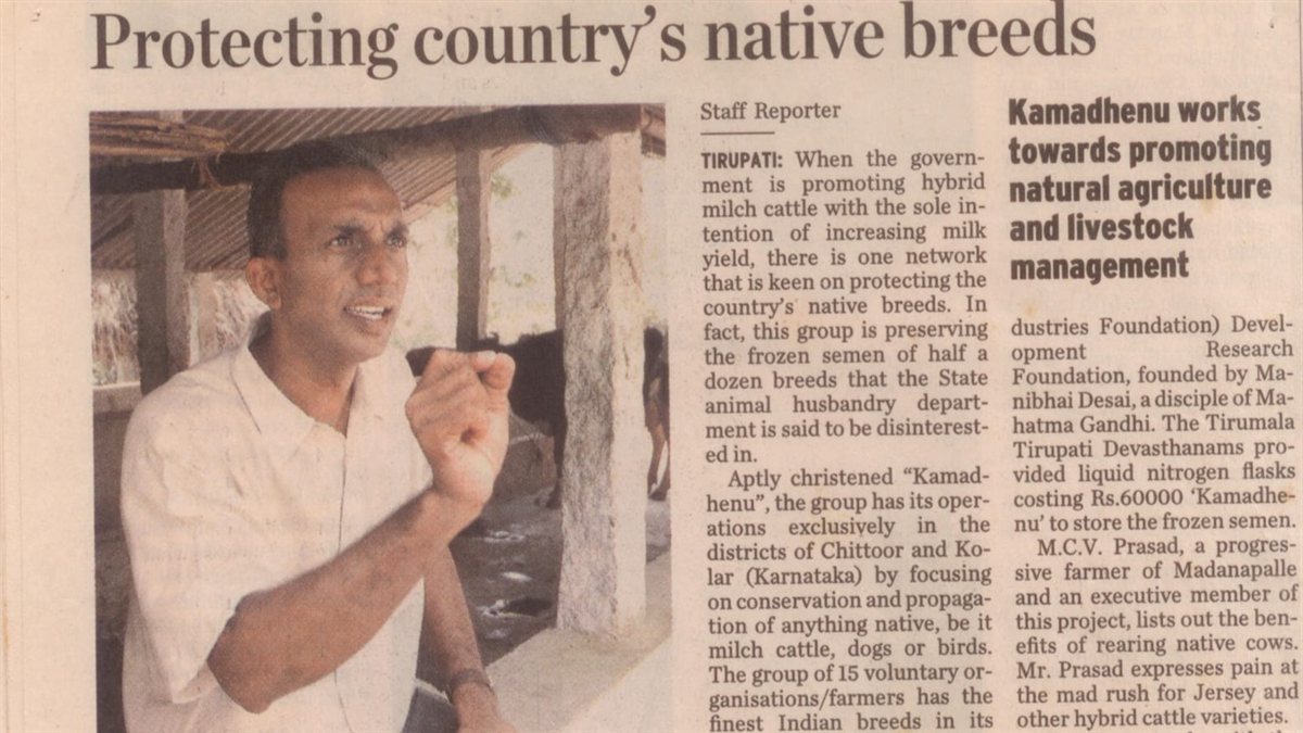 Natural Building Techniques